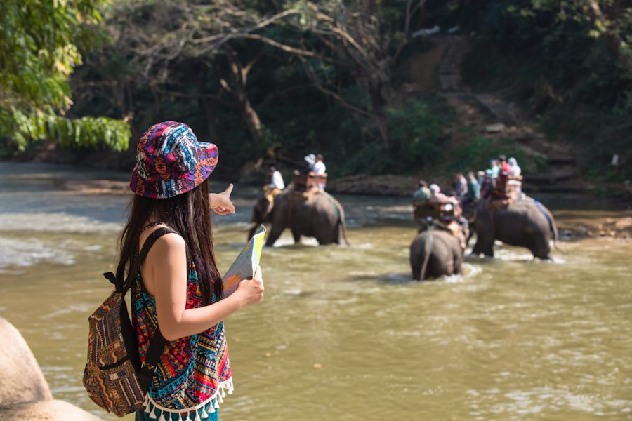 Safari Luxe Famille